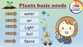 Plants Need | Basic Needs for a Plant's Growth | What does a Plant Need to grow | Plant basic needs