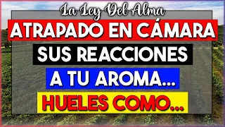 🎥 Atrapado en Cámara: Sus Reacciones a Tu Aroma 🌟 Hueles Como... | Espiritualidad