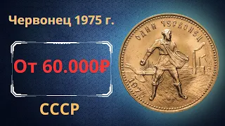 Реальная цена и обзор монеты один червонец 1975 года. СССР.