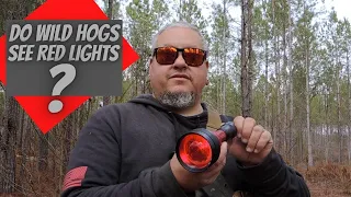 Do Wild Hogs See Red Lights? Hunting Wild Hogs at Night with Sniper Hog Lights