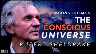 The Conscious Universe with Rupert Sheldrake Ph.D. | Waking Cosmos