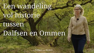 Hidden stories in the woods between Dalfsen and Ommen