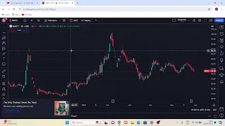 Wealth Creator V Rocks Live Stream