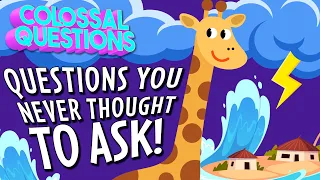 Questions You Never Thought to Ask! | COLOSSAL QUESTIONS