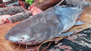 Big Sea Mad Fish Cutting | Big Fish Cutting Skills | Fish Cutting By Expert Man