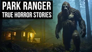 2 Hours Of TRUE Disturbing Park Ranger Horror Stories Told In The Rain (Dogman,Sasquatch,Wendigo...)