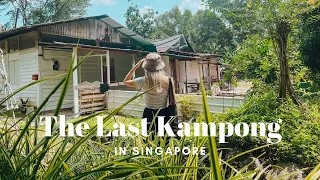 You’ve never seen this side of Singapore!🌴 Life in Kampong Lorong Buangkok