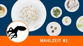 Mahlzeit #1: Wer frisst die Schwebegarnelen?