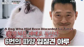 A Dog Who Had Been Discarded Six Times Bit Trainer Kang [Dogs Are Incredible]