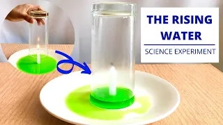 The Rising Water - Science Experiment | Why Does Water Rise Up - Explained |