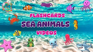 26 Sea Animals – Flash Cards and Videos with Fun Facts for Kids | Toddlers | Kindergarten | Pre-K