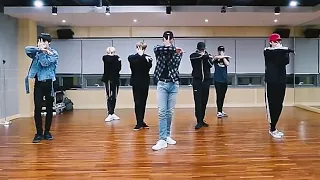 [MONSTA X - Alligator] dance practice mirrored