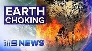 Amazon fires so intense the smoke can be seen from space | Nine News Australia