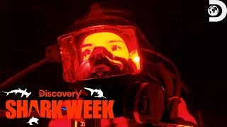 Andy and Kori Swim With Great Whites Beneath a Haunted Tower! | Shark Week | Discovery