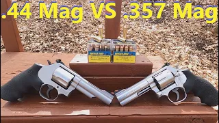 .357 Mag VS .44 Mag - Buffalo Bore "Lower Recoil" - Gel Test