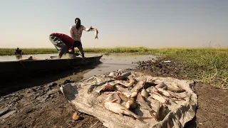 New hopes for South Sudan's fishing industry | World Vision