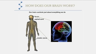 How Molecular Nanomachines Mobilize Inside Neurons - Saturday Science at Scripps Research