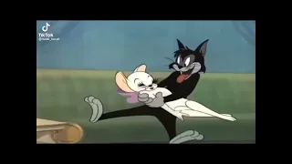Tom and Jerry anime|hey ladies drop it down💜💖💗