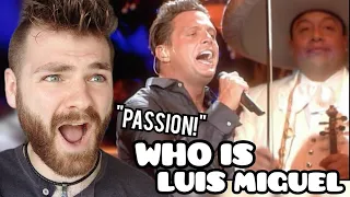 British Guy Reacts to Luis Miguel - "La Bikina" Live En Vivo