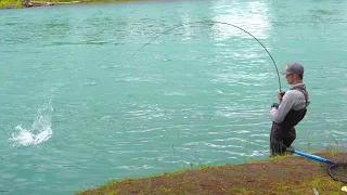 Sockeye Salmon Fishing The Famous Kenai River!