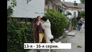 Сериал Бим  13 я   16 я серии  Анонс