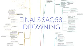 FINALS ANAES SAQ58: NEAR DROWNING