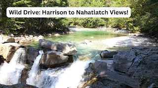 Scenic Drive: Harrison Lake to Nahatlatch Lake (Almost) | Breathtaking Views and Backcountry Bliss!