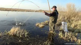 Утопили Квадрик. Наловили рыбы. Давно у меня не было такой рыбалки.