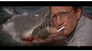 You're gonna need a bigger boat... — "Jaws" (1975)