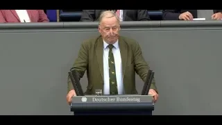 ALEXANDER GAULAND: „In dieser Regierung liegt ein Dachschaden vor“