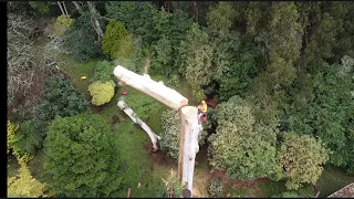 Big Timber Bigger Chainsaws