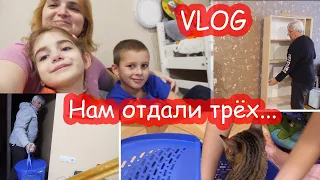 VLOG У нас три новых питомца. Перестановка. Банбану сделали операцию