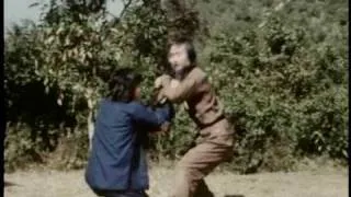 Scene from a film "The Eagle Fist / Eagle's Claws / Ying zhao tang lang" 1981 (in Russian)