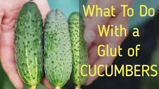 A GLUT of Cucumbers? 12 DELICIOUS Ways to Use Them Up!