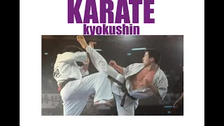 Little dark age -  Karate Kyokushin and mixed