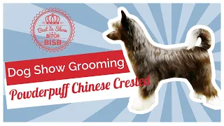 Dog Show Grooming: How To Groom a Powderpuff Chinese Crested