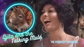 THE PUSSYCAT SYNDROME (1983) Ajita Wilson and a talking mule.