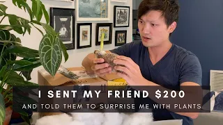 I Sent My Friend $200 and Told Her to Surprise Me! | Mystery Rare Plant Haul & Unboxing | vlog 11