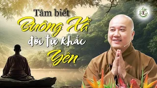 Tâm biết Buông Xả đời tự khắc sẽ yên - Thầy Thích Pháp Hòa (cực hay)