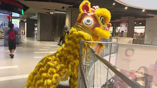LION walkthrough in Mall