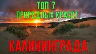 Топ 7 природных достопримечательностей Калининграда