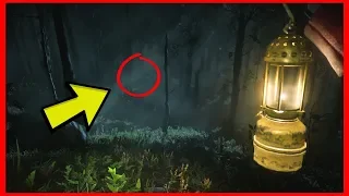 DON'T GO TO THE ROANOKE FOREST AT 3:00AM.. (Red Dead Redemption 2 ASMR)