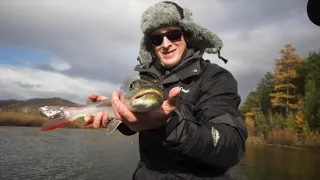 Mongolia  Flyfishing the Onon