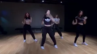 [Mirrored]-BLACKPINK - '뚜두뚜두 (DDU-DU DDU-DU)' DANCE PRACTICE VIDEO (MOVING VER.)