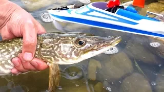 TOY RC FiSHiNG JET BOAT Catches 25" PiKE the FiRST TiME! 🎣