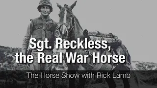 Sgt. Reckless Reckless- the Real War Horse