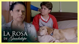 La abuela de Nico no soporta a su perro Pretzel | La rosa de Guadalupe 1/4 |  El elefante azul