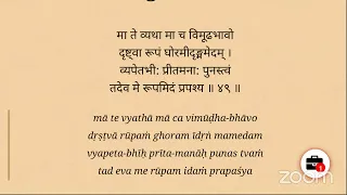 Srimad Bhagavad Gita 11.49