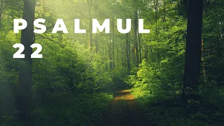 Psalmul 22