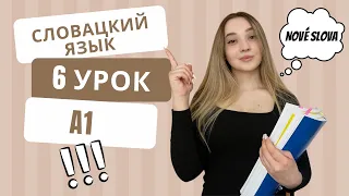 Словацкий язык. Урок 6. Новые слова и фразы.